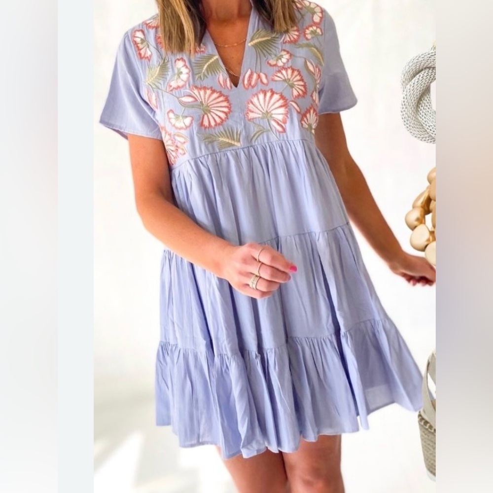 Entro Blue Dress with Floral Embroidery